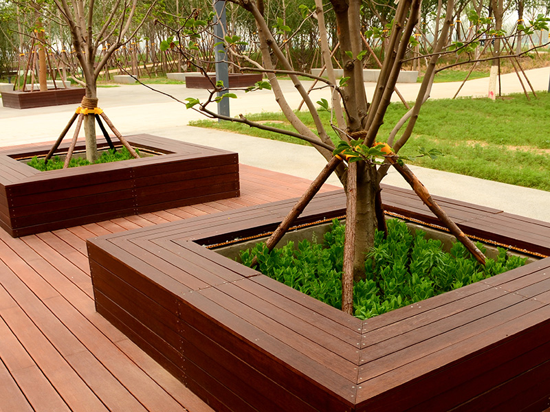 重竹木樹(shù)圍