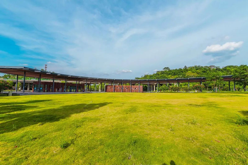 三山森林公園內(nèi)由桃花江戶外竹材打造的多功能服務區(qū)